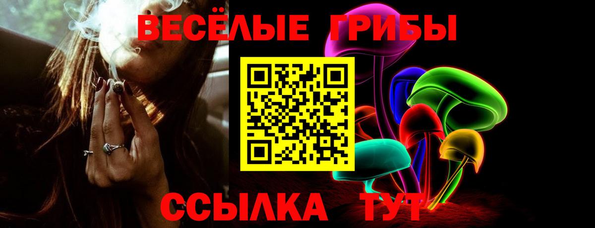 Псилоцибиновые грибы Psilocybe  Галлюциногенные грибы Cubensis  Вход с VPN  Домодедово 